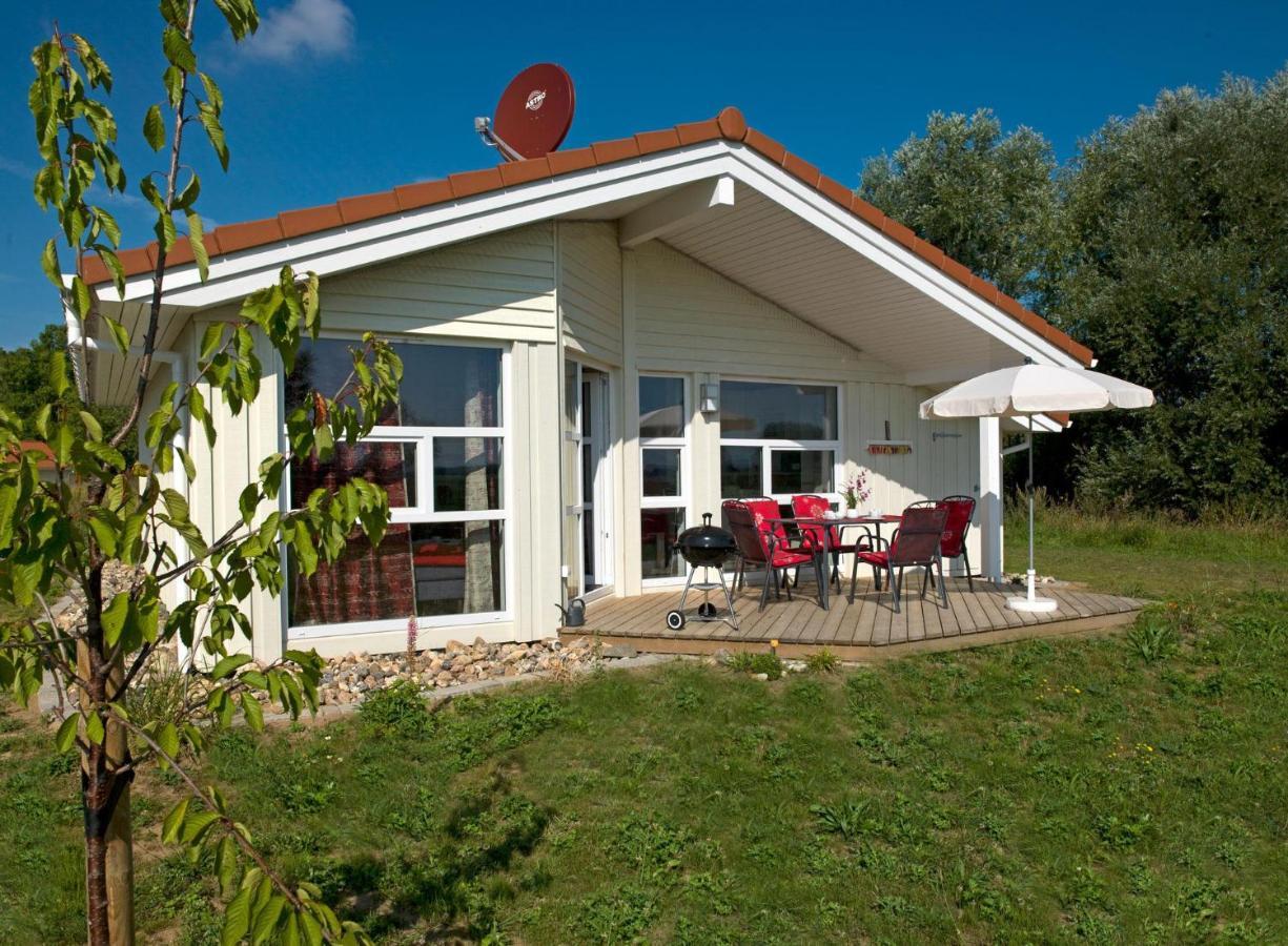 Daenische Ferienhaeuser Am Salzhaff Haus Vogelparadies Insel Poel Exterior photo