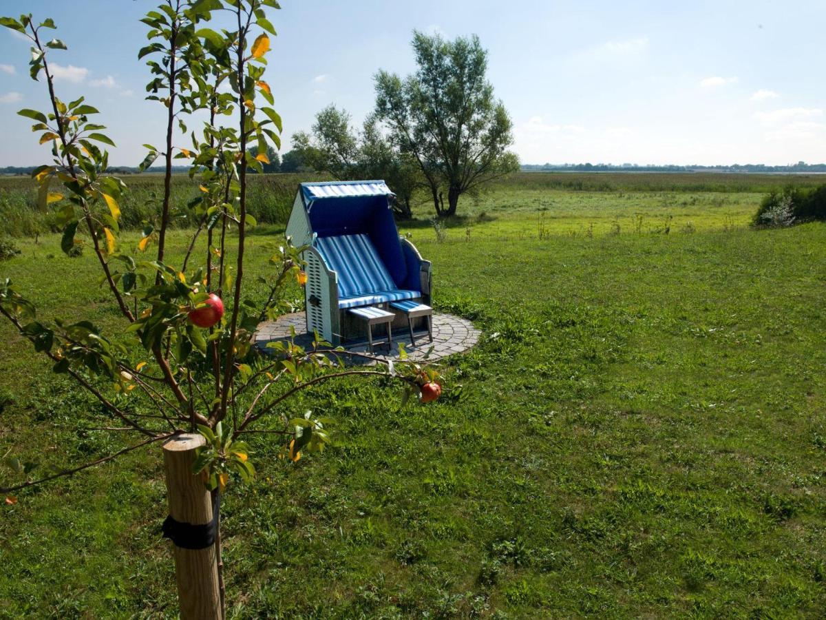 Daenische Ferienhaeuser Am Salzhaff Haus Vogelparadies Insel Poel Exterior photo